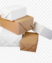 uploads/general/vinesh_rajput_AAFGVW91GH_url.jpeg